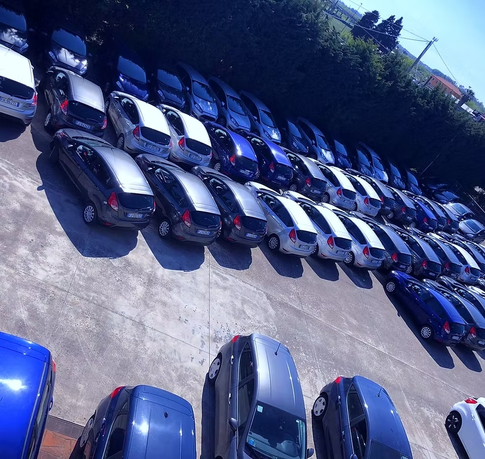 Decine di utilitarie grigie, bianche e blu parcheggiate in file su un piazzale di cemento accanto a un'alta siepe